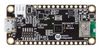 ANALOG DEVICES MAX32630FTHR#