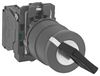 SCHNEIDER ELECTRIC XB5AG21N