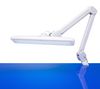 LIGHTCRAFT LC8005LED