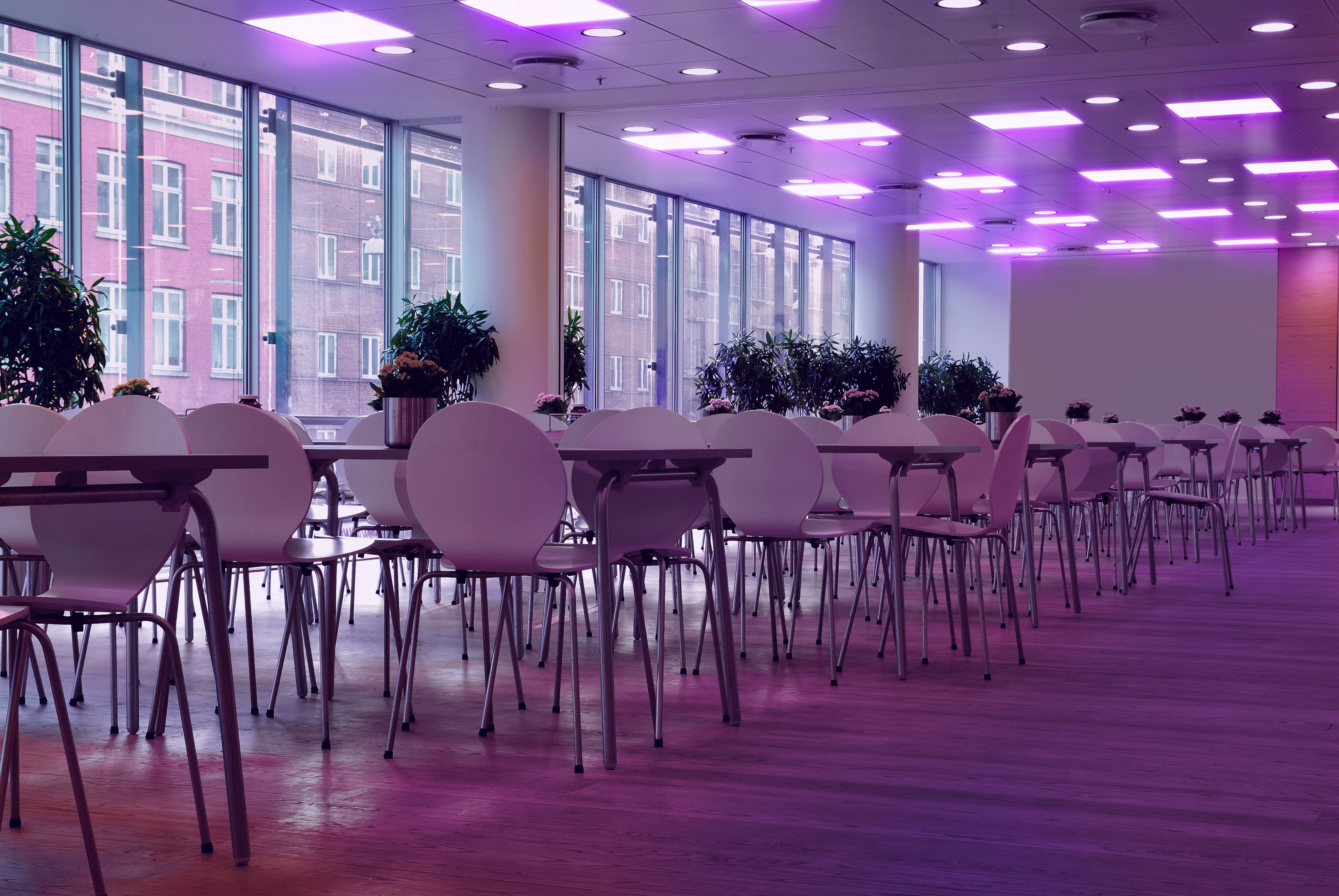 Ultraviolett 
